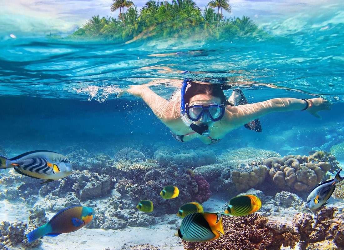 Image de l'aventure : Snorkeling à Malte